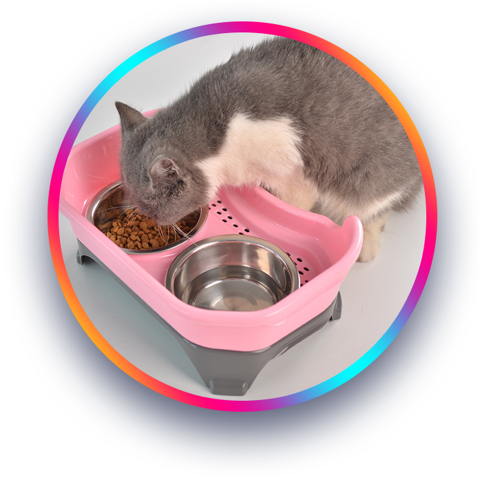 Pet Food Bowl