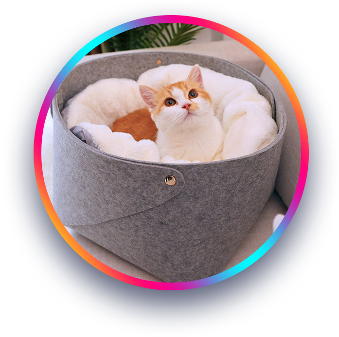 Pet Bed